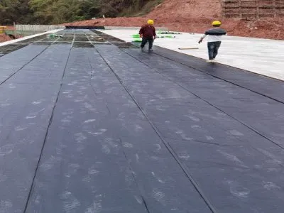 重庆正规防水补漏公司/地下室防水补漏维修/随约随到