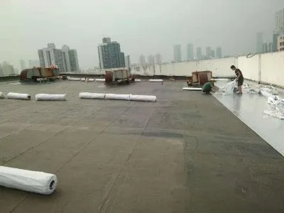 重庆盈成水电维修中心/专业屋顶防水补漏/准时态度好