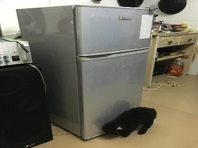 平谷区夏普冰箱维修服务电话--聚美乐服务中心