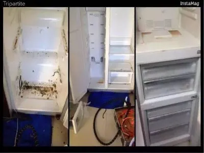 云阳县凡帝罗冰箱维修服务电话--聚美乐维修服务中心