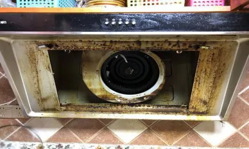 璧山区帝而抽油烟机维修电话(全国24小时)--扬识服务中心