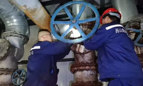 璧山区菲斯曼锅炉维修服务电话--和美维修服务中心