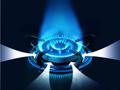 蓟州区家丽雅燃气灶维修服务电话--禄捷茂服务部