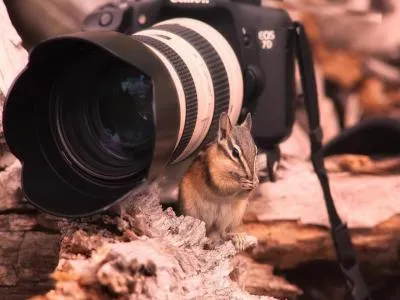 上海啸创数码维修服务中心