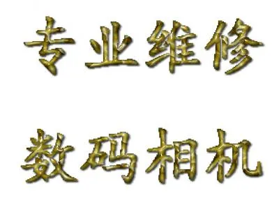 重庆啸创数码科技服务点