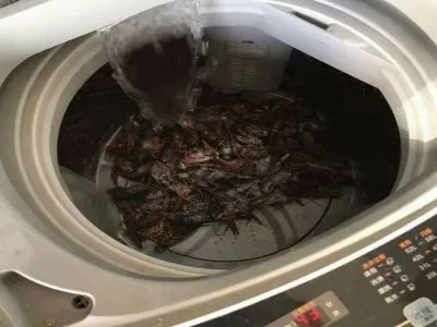 垫江县TCL洗衣机维修服务电话