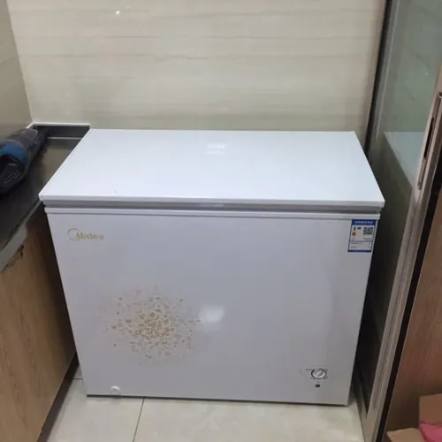 冰柜远行和电源灯不亮但有响声正常吗