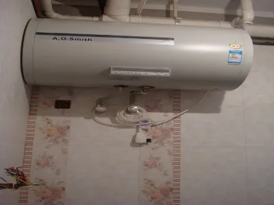 电热水器管里的蚂蚁是什么原因(图1)