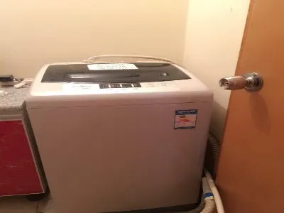 洗衣机有老鼠屎用滴露消毒可以吗(图1)