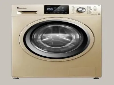 卡在洗衣机的杨柳叫什么(图1)