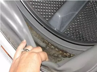 洗衣机被棉花堵住了不能脱水了(图1)