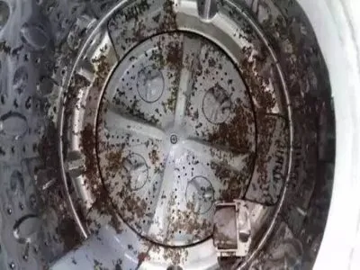 洗衣机底部漏机油怎么回事(图1)