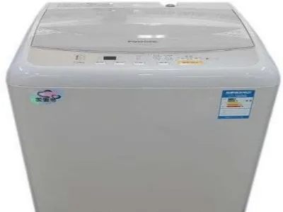 洗衣机筒自清洁能洗掉小虫子么(图1)