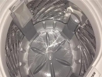 洗衣机积水里有白色的虫子(图1)