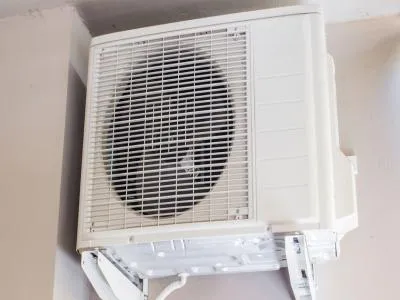 洗衣机滚筒夹缝中掉入老鼠