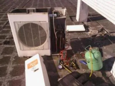 洗衣机有老鼠进去怎么清洗